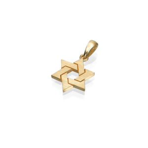 Mini Gold Star of David Necklace